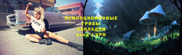 шишки Горнозаводск