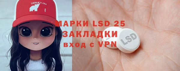 шишки Горнозаводск