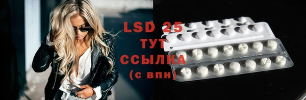шишки Горнозаводск