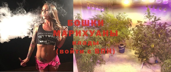 тгк Туринск