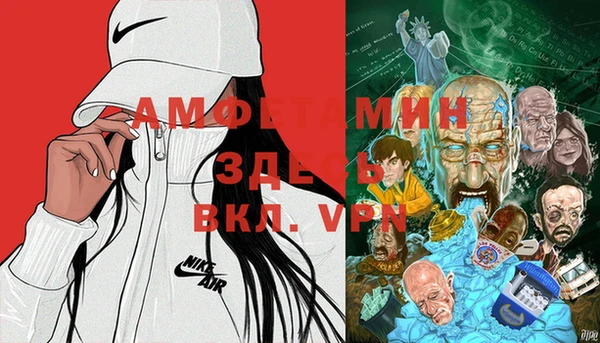 шишки Горнозаводск